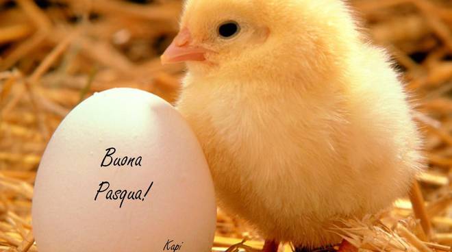 Pasqua al mare 2022