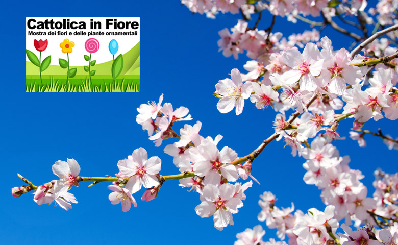 Cattolica in fiore du 28 avril au 1er mai 2023