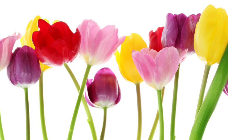 Ponti di Primavera speciale 25 aprile e 1° maggio 2024