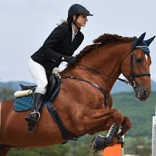 Hotel Offer near Riviera Horses Equestrian Center